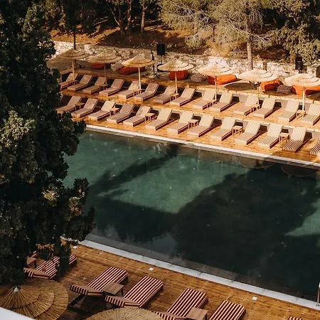 Cook's Club Rhodes (adults Only) 4* Ialysos (Rhodes)